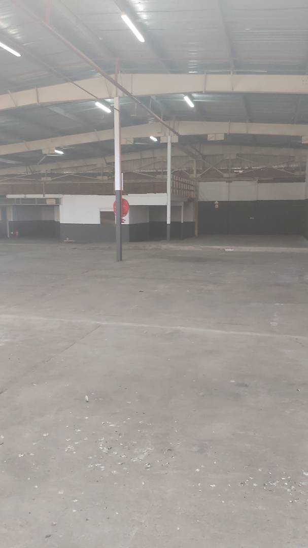 To Let Commercial Property for Rent in Wilsonia Eastern Cape